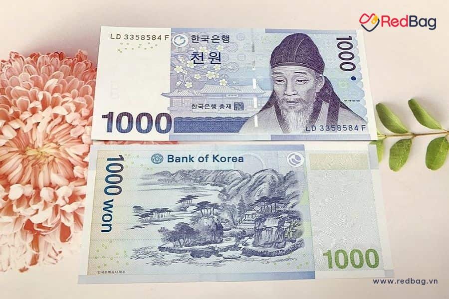 1000 Won Hàn Quốc Bằng Bao Nhiêu Tiền Việt Nam Hôm Nay?: Hướng Dẫn Chi Tiết & So Sánh An Toàn 2026