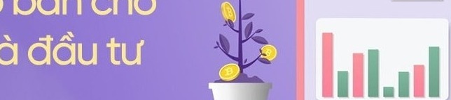 Hinh anh minh hoa huong dan quy trinh Các chỉ số cơ bản trong chứng khoán cho người mới online 2026 - Benh Vien Chu Thap Xanh