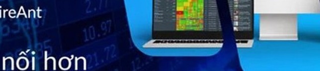Hinh anh minh hoa huong dan quy trinh FireAnt là gì? Hướng dẫn sử dụng App FireAnt PTKT chứng khoán 2022 online 2026 - Benh Vien Chu Thap Xanh